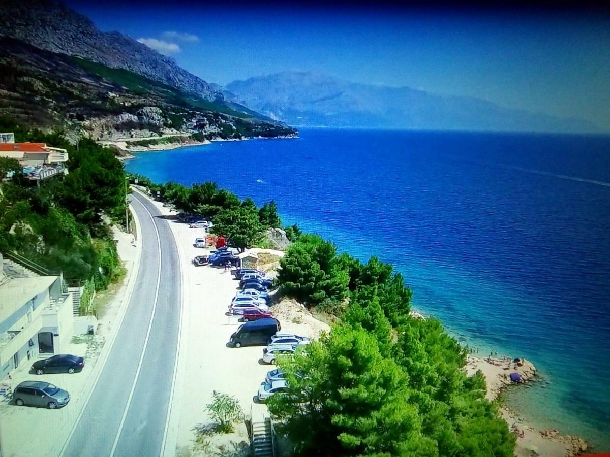 Seaview Nikola *