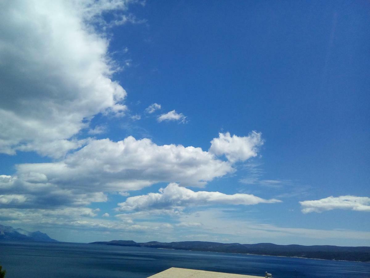 Seaview Nikola *